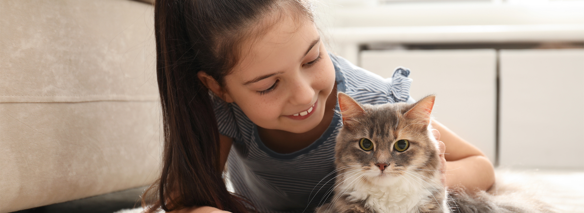 chat-and-enfant-une-cohabitation-reussie.jpg