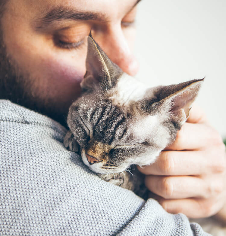 Getting a Cat