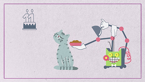 What should I feed a very senior cat?