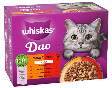 Duo Wet Food Hub