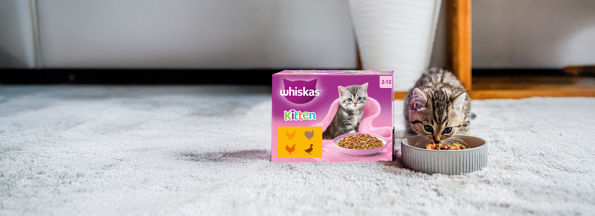 Get a Free Sample Kitten