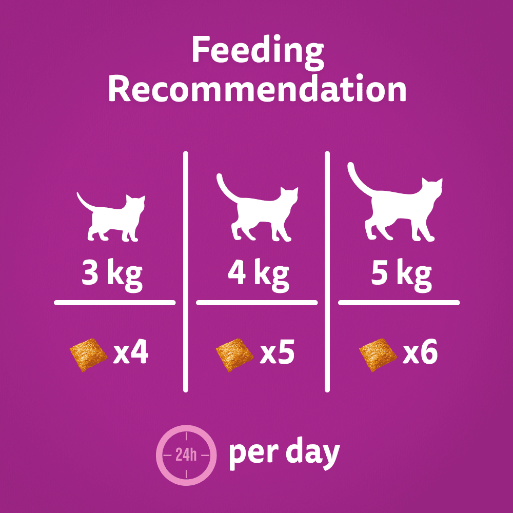 Feeding Guidelines