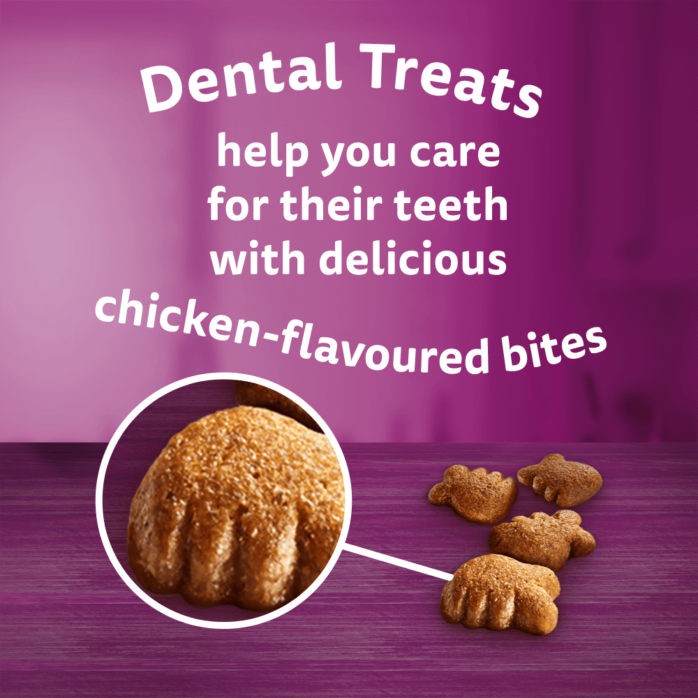WHISKAS® Dentabites Adult Cat Treats with Chicken 40g - 2