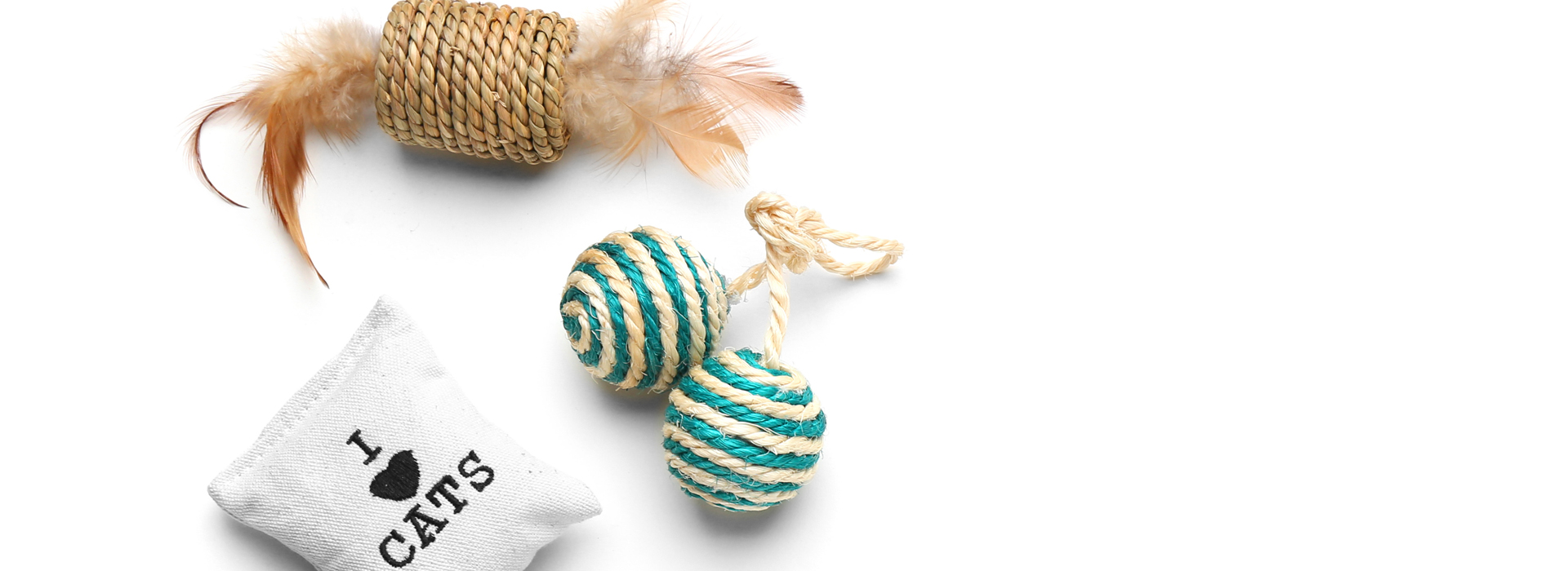 jouet-pour-chat-quel-jouet-pour-mon-chat.jpg
