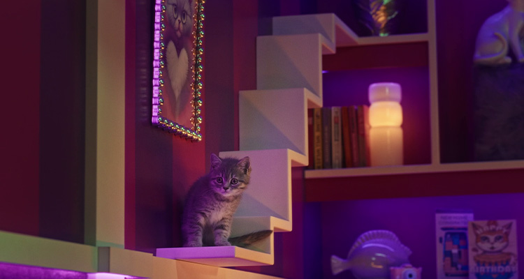 Getting the most out of playtime