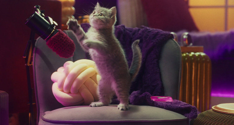 Understanding different cat noises and what they mean