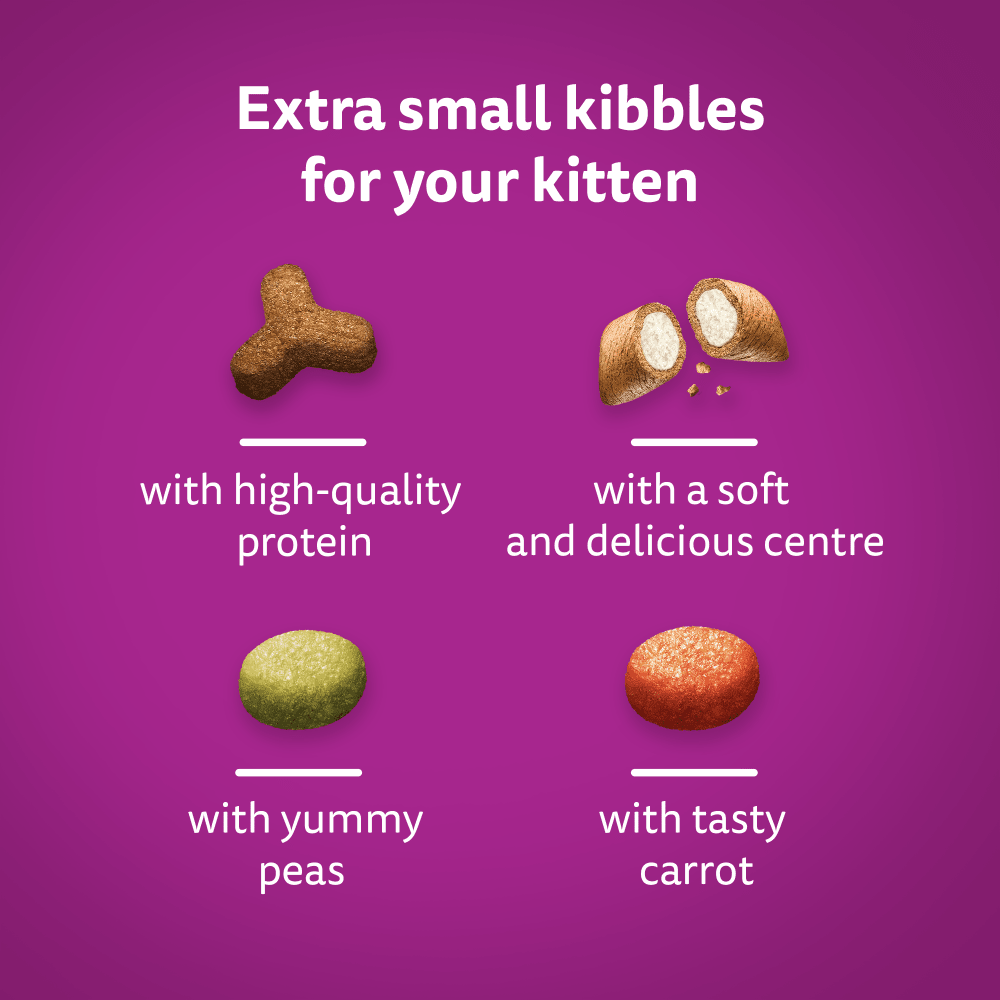 WHISKAS® Cat Dry with Chicken Kitten 2-12 Months 7kg,1.9kg,800g,300g - 4