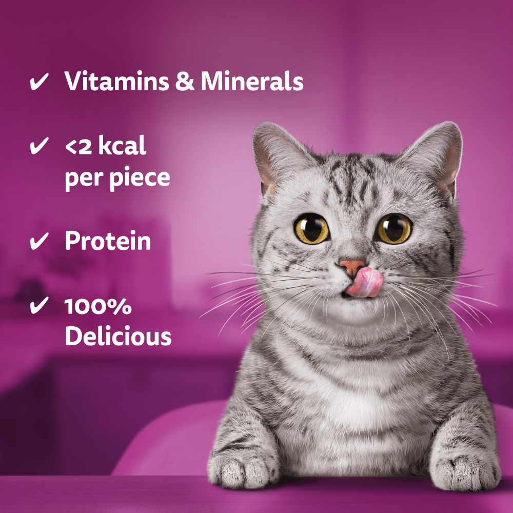 WHISKAS® TEMPTATIONS™ with Salmon Flavour Adult Cat Treats 180g,60g - 3