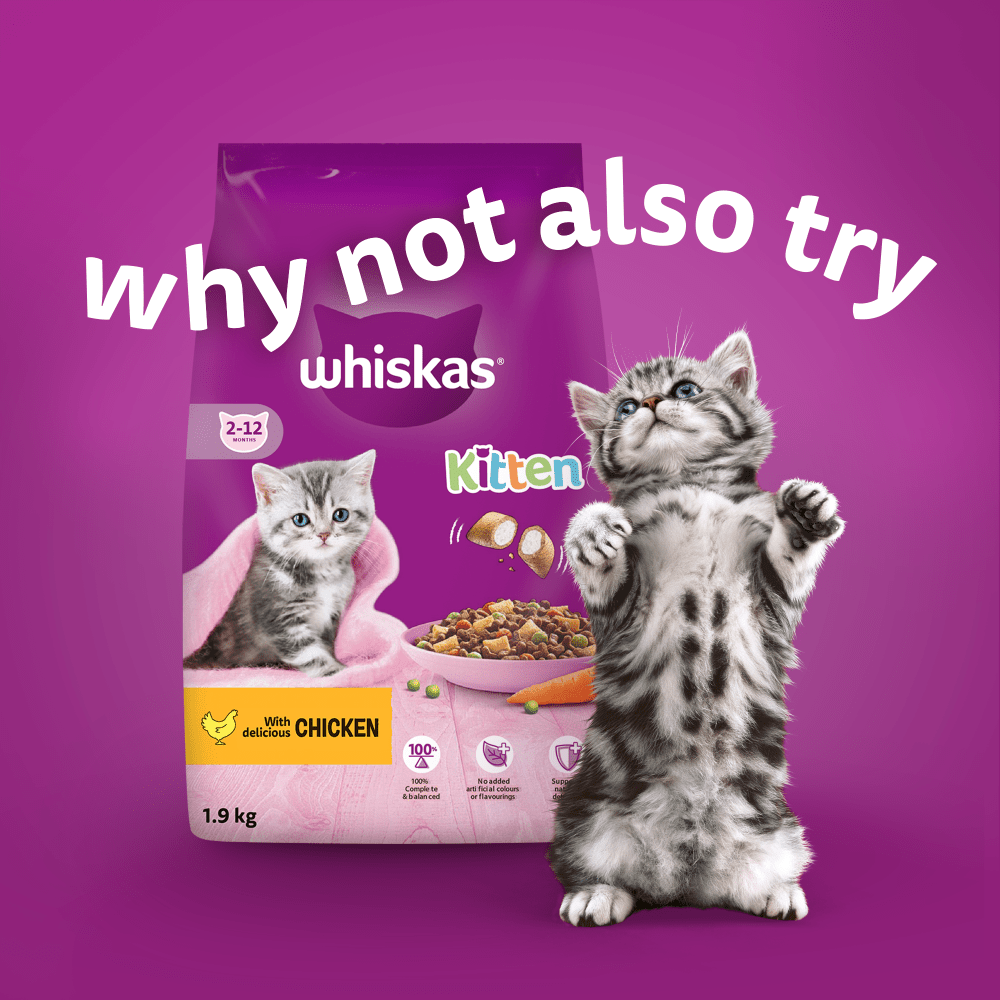 WHISKAS® Kitten Mixed Menu Wet Cat Food Pouches in Jelly 12 x 85g - 4