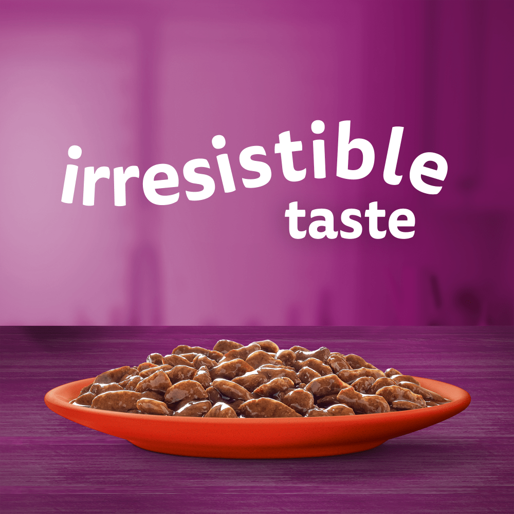 WHISKAS® 1+ Meaty Meals Adult Wet Cat Food Pouches in Gravy 12x85g, 80x85g - 2