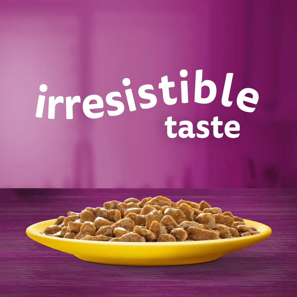 WHISKAS® 7+ Poultry Feasts Senior Wet Cat Food Pouches in Gravy 12 x 85g - 2