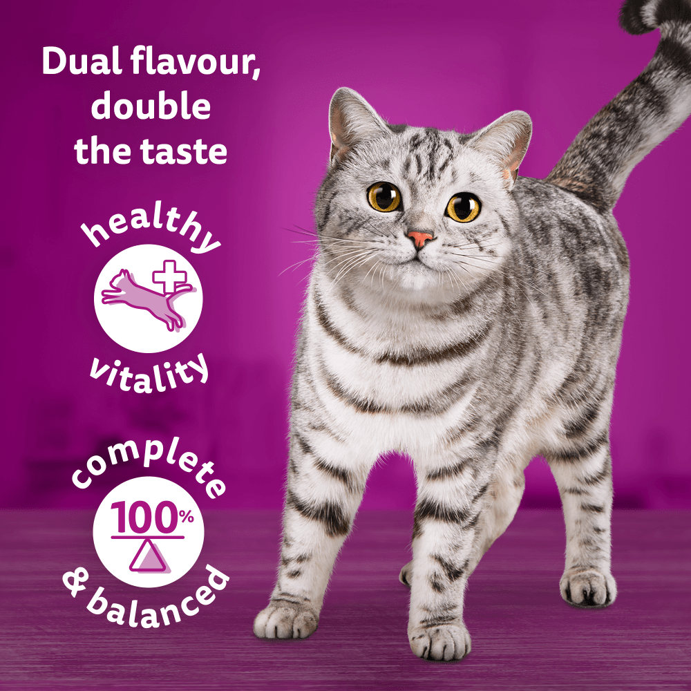 WHISKAS® Duo Surf & Turf in Jelly Adult Wet Cat Food Pouch 80x85g,40x85g,12x85g - 3