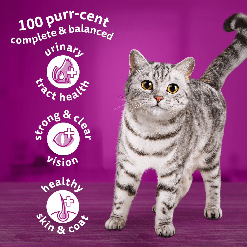 WHISKAS® Cat Dry with Chicken Adult 7kg,3.8kg,1.9kg,800g,300g - 3