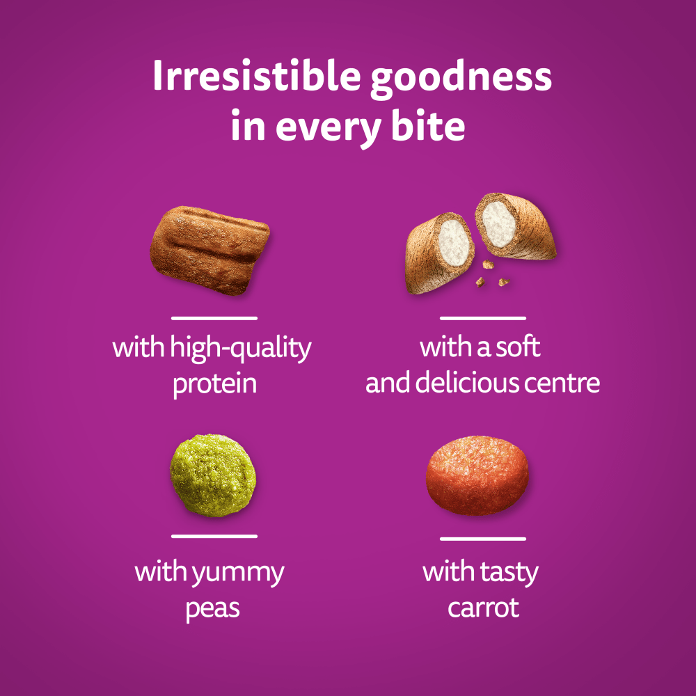 WHISKAS® Cat Dry with Salmon Adult 1.9kg,800g - 4