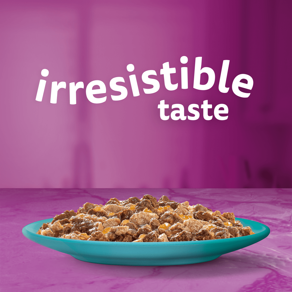 WHISKAS® 1+ Duo Ocean Delights Adult Wet Cat Food Pouches in Jelly 12 x 85g - 2