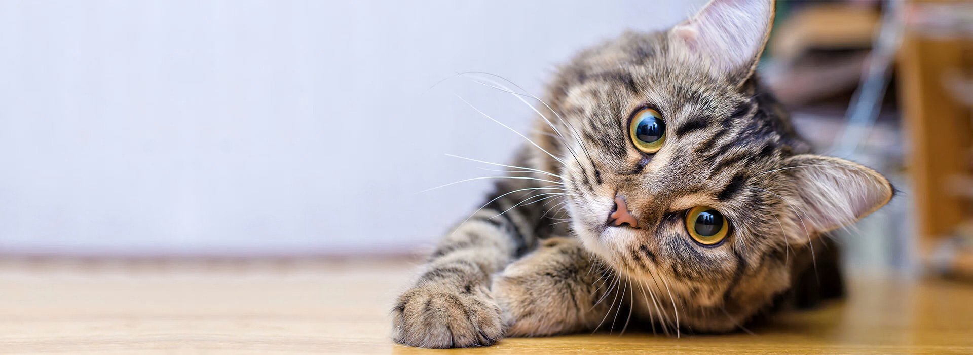 Communication Hero Image