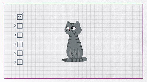 Why does my cat have a dull coat or dandruff?