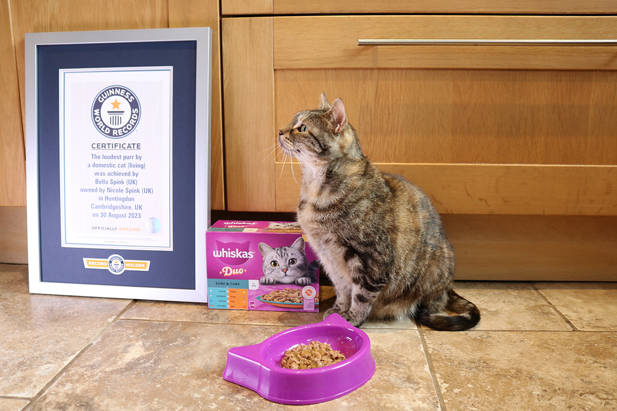 Bella is a new record holder!