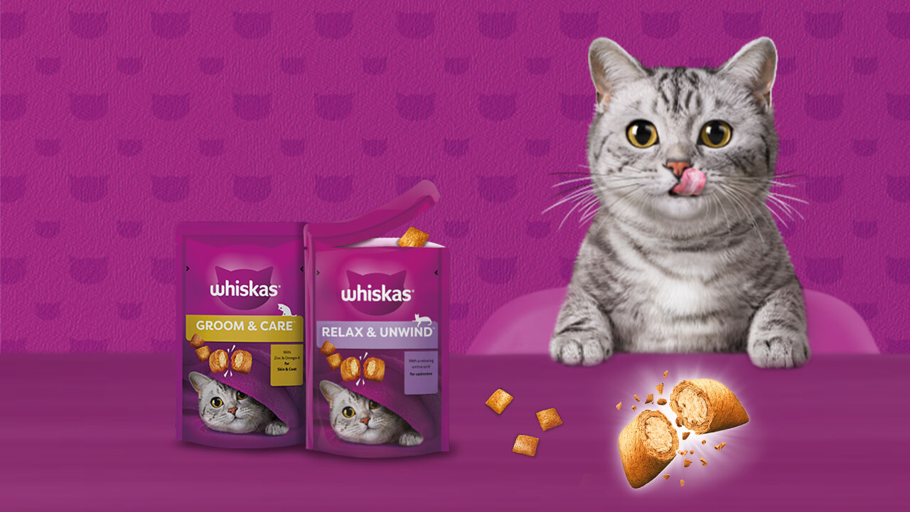 Whiskas Soft Health