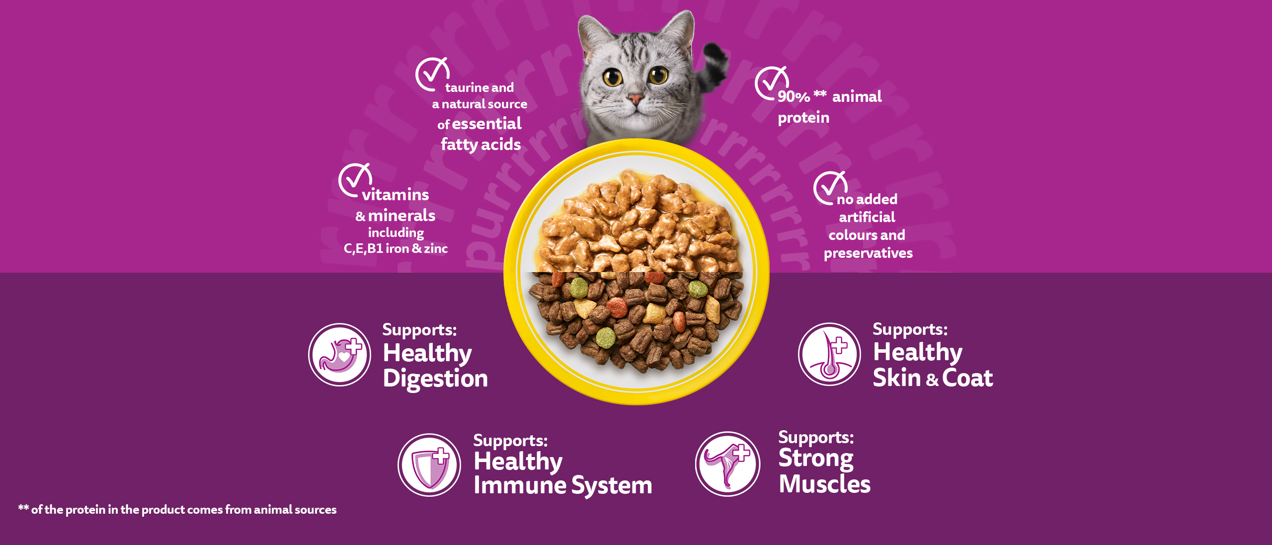 Adult supurrnova vitamins