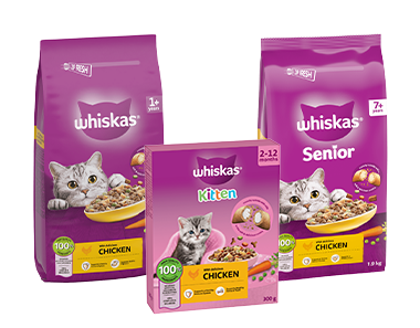 Whiskas Dry Food