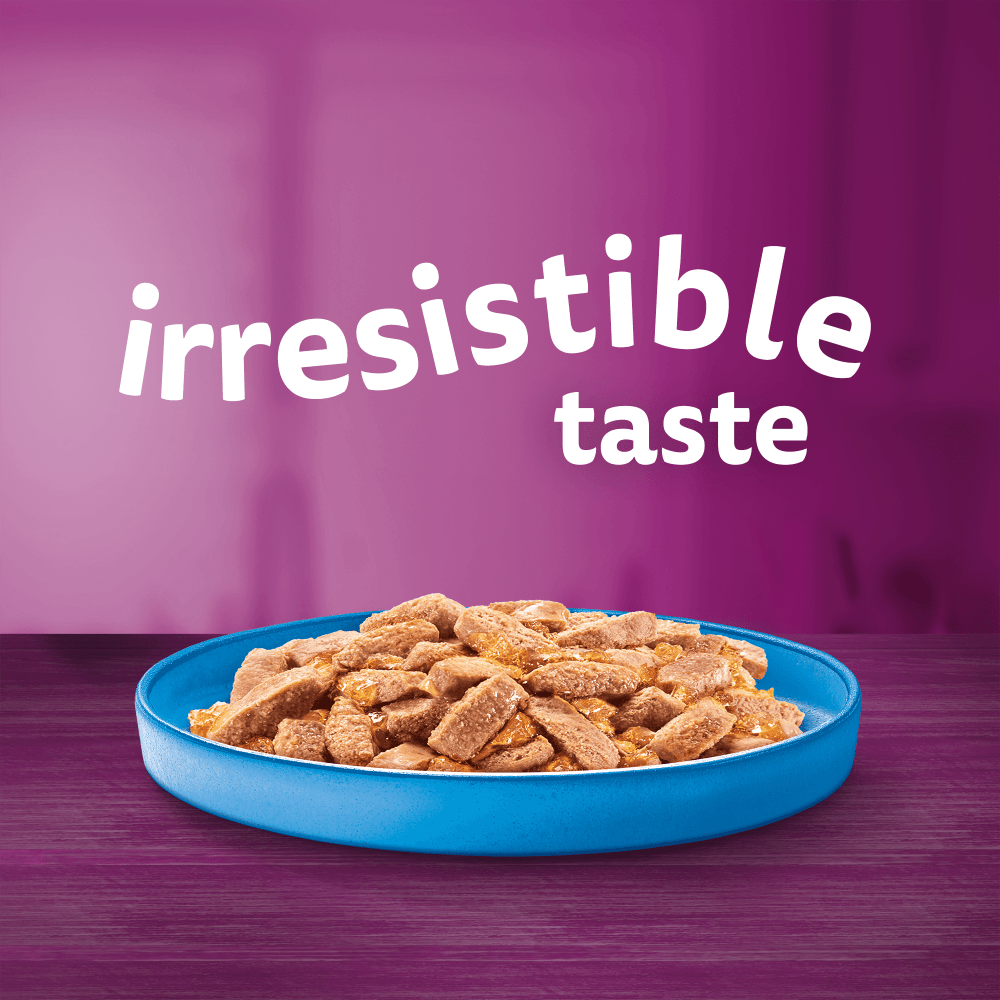 WHISKAS® Ocean Menu Adult Wet Cat Food in Jelly Tin 6x400g - 2