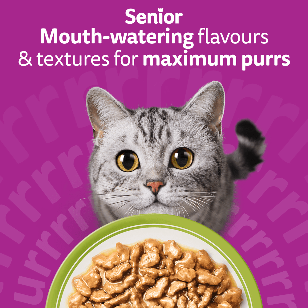 WHISKAS Senior 7+ MIXED Menu  Wet Cat Food Pouches in Gravy 12 x 85g - 2