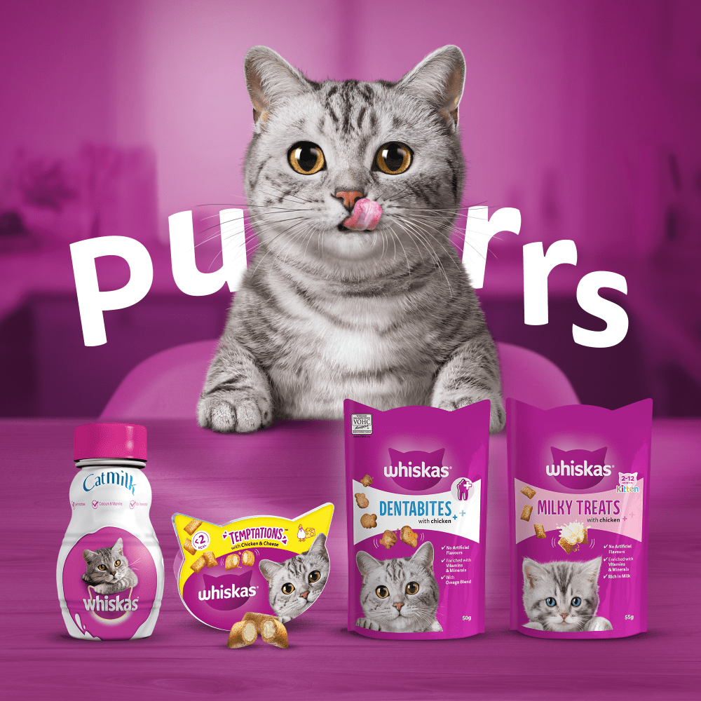 WHISKAS® TEMPTATIONS™ with Salmon Flavour Adult Cat Treats 180g,60g - 4