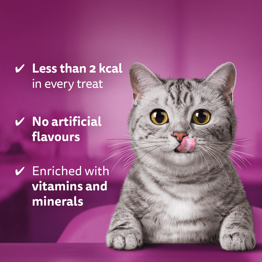 WHISKAS® TEMPTATIONS™ with Salmon Flavour Adult Cat Treats 180g,60g - 3
