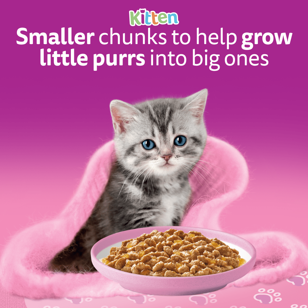 WHISKAS POULTRY FEASTS in Jelly Kitten 2-12 Months Wet Cat Food Pouch 40x85g, 12x85g - 2