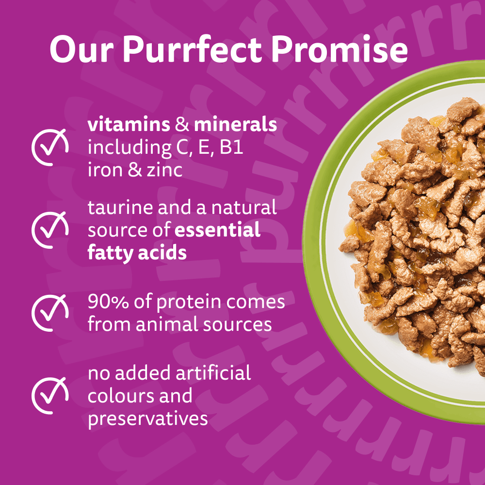 WHISKAS 1+ Mixed Menu Wet Cat Food Pouch in Jelly 40x85g, 12x85g - 3