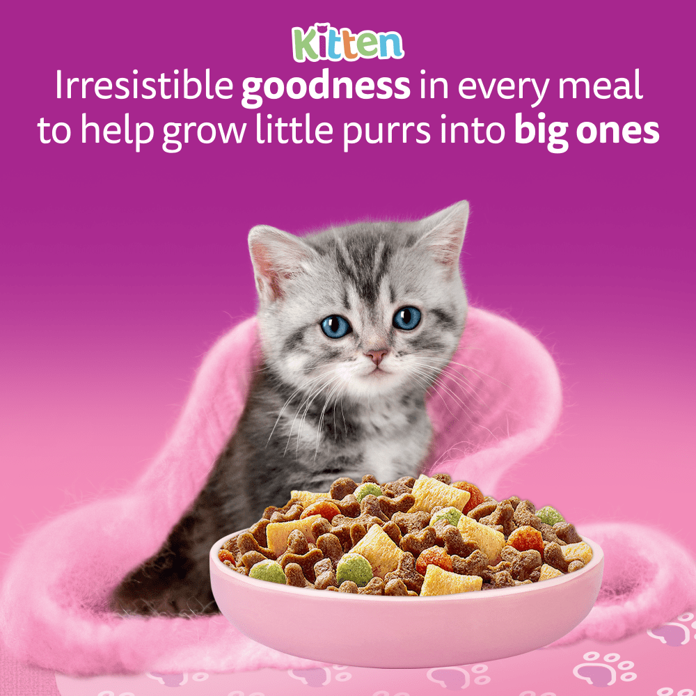 WHISKAS Cat Dry with Chicken Kitten 2-12 Months 7kg, 1.9kg, 800g, 300g - 2