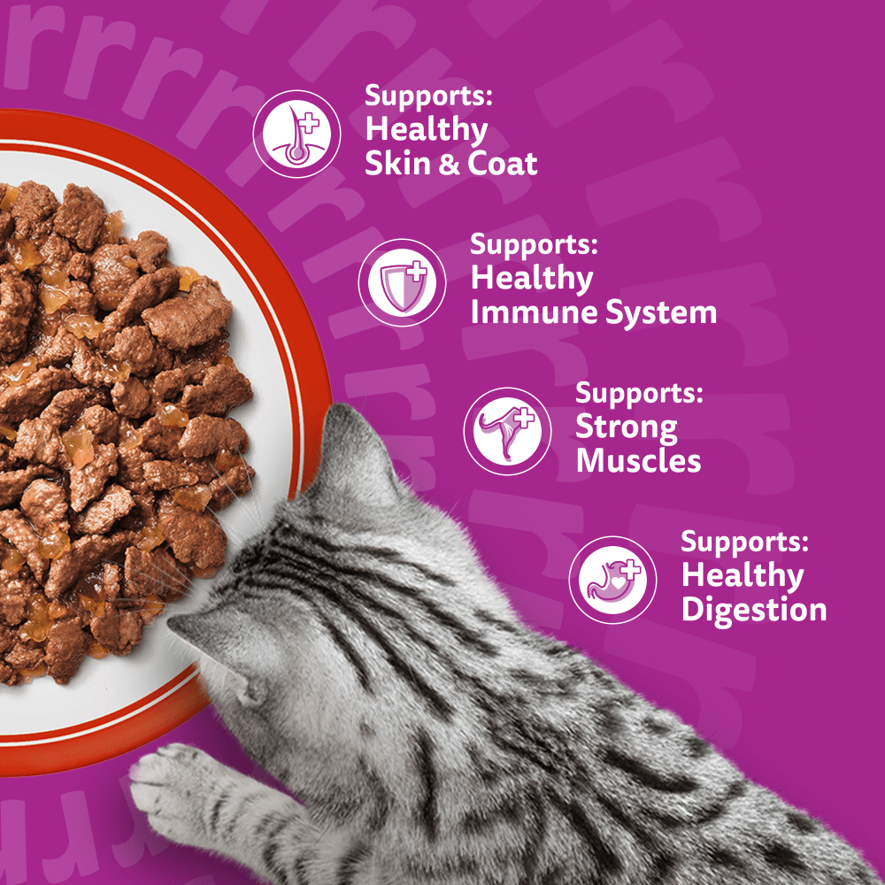 WHISKAS 1+ MEATY Meals Wet Cat Food Pouches in Jelly 12 x 85g - 4