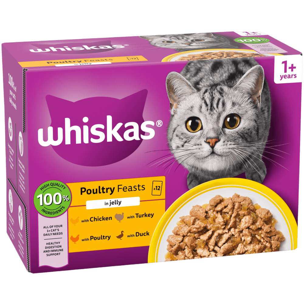 WHISKAS® POULTRY FEASTS in Jelly Adult Wet Cat Food Pouch 84x85g, 80x85g, 40x85g, 12x85g - 1