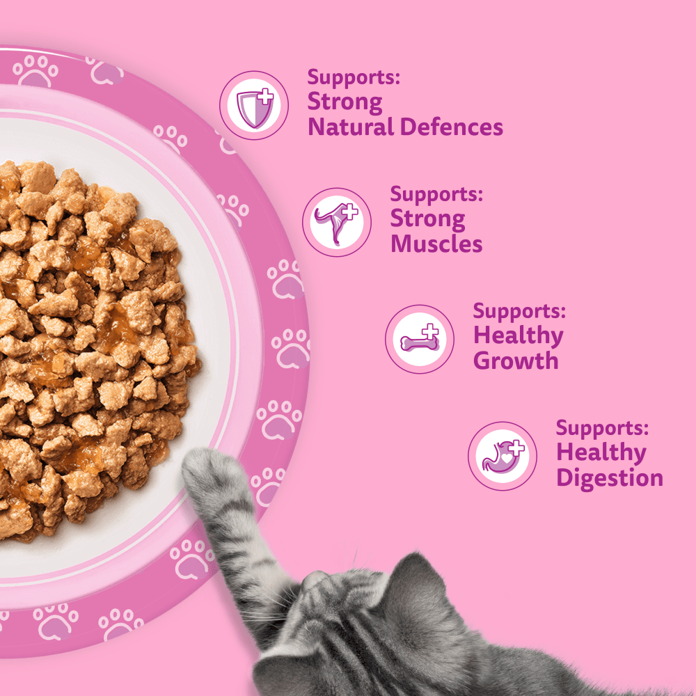 WHISKAS POULTRY FEASTS in Jelly Kitten 2-12 Months Wet Cat Food Pouch 40x85g, 12x85g - 4