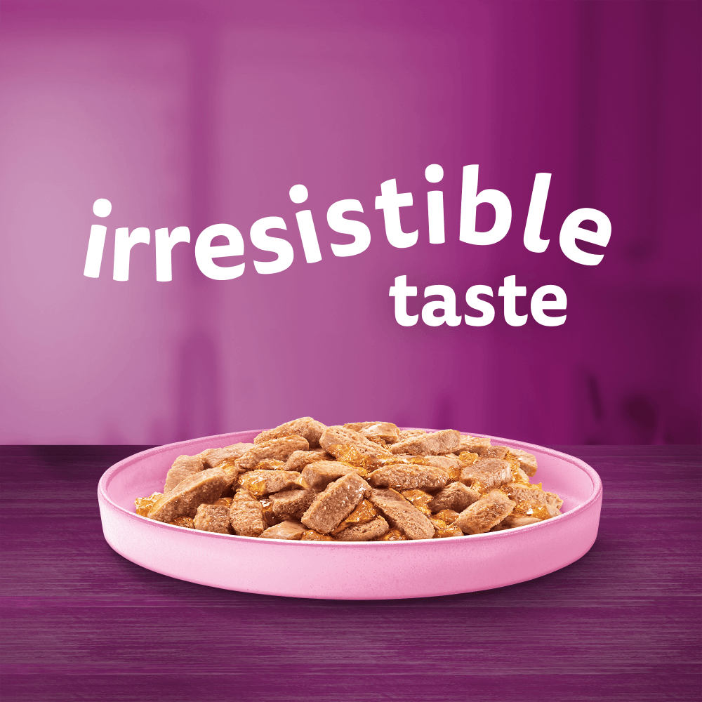 WHISKAS® Adult Wet Cat Food Salmon in Jelly Tin 400g - 2