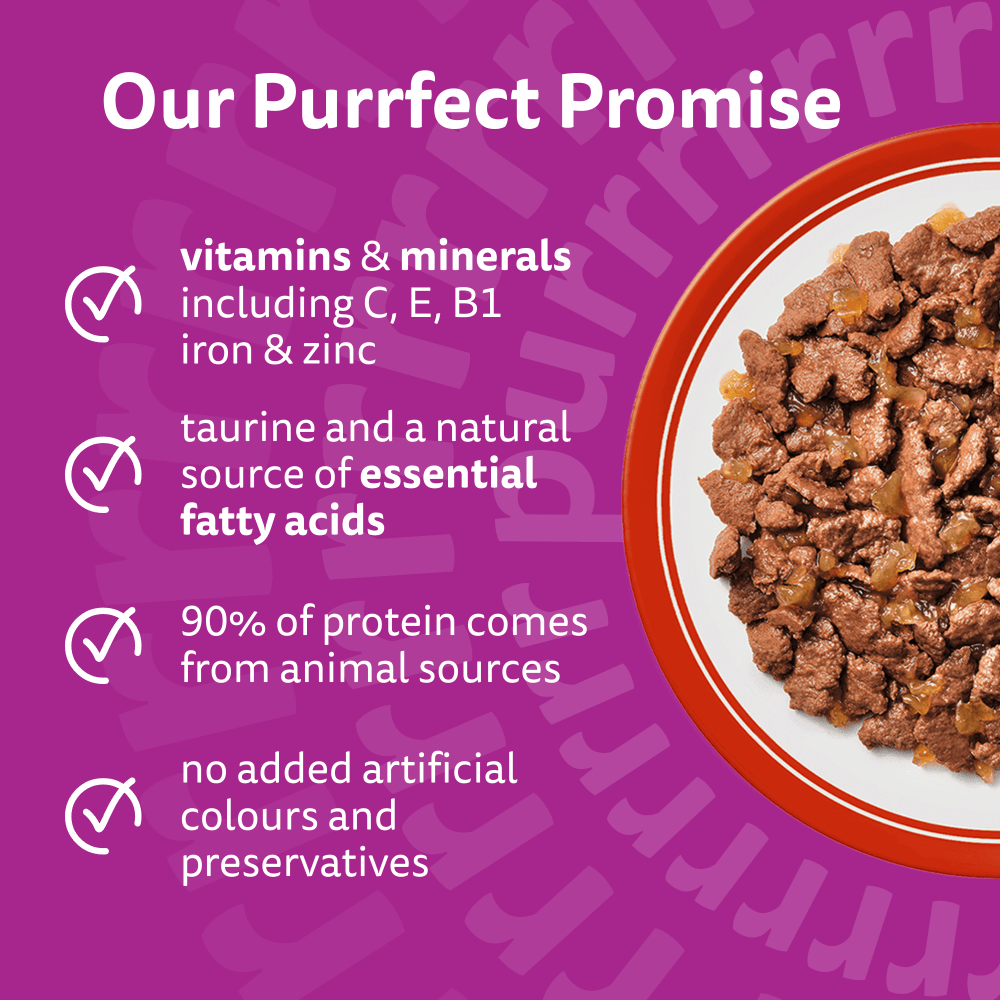 WHISKAS 1+ MEATY Meals Wet Cat Food Pouches in Jelly 12 x 85g - 3