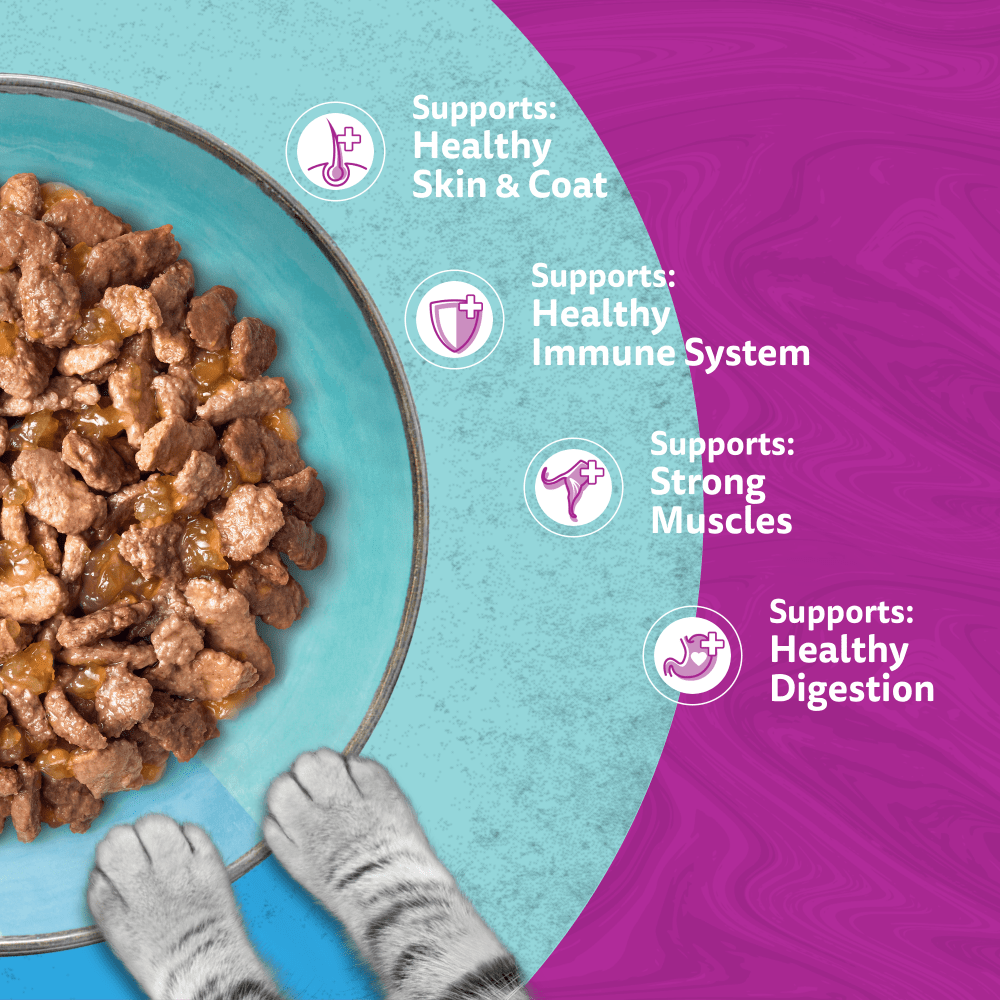 WHISKAS 1+ DUO OCEAN Delight Wet Cat Food Pouches in Jelly 12 x 85g - 4