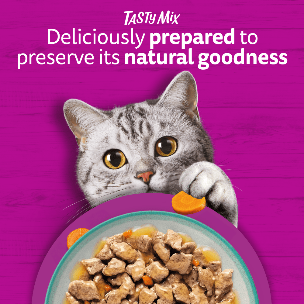 WHISKAS 1+ TASTY MIX Catch Of The Day Wet Cat Food Pouches in Gravy 12 x 85g - 2
