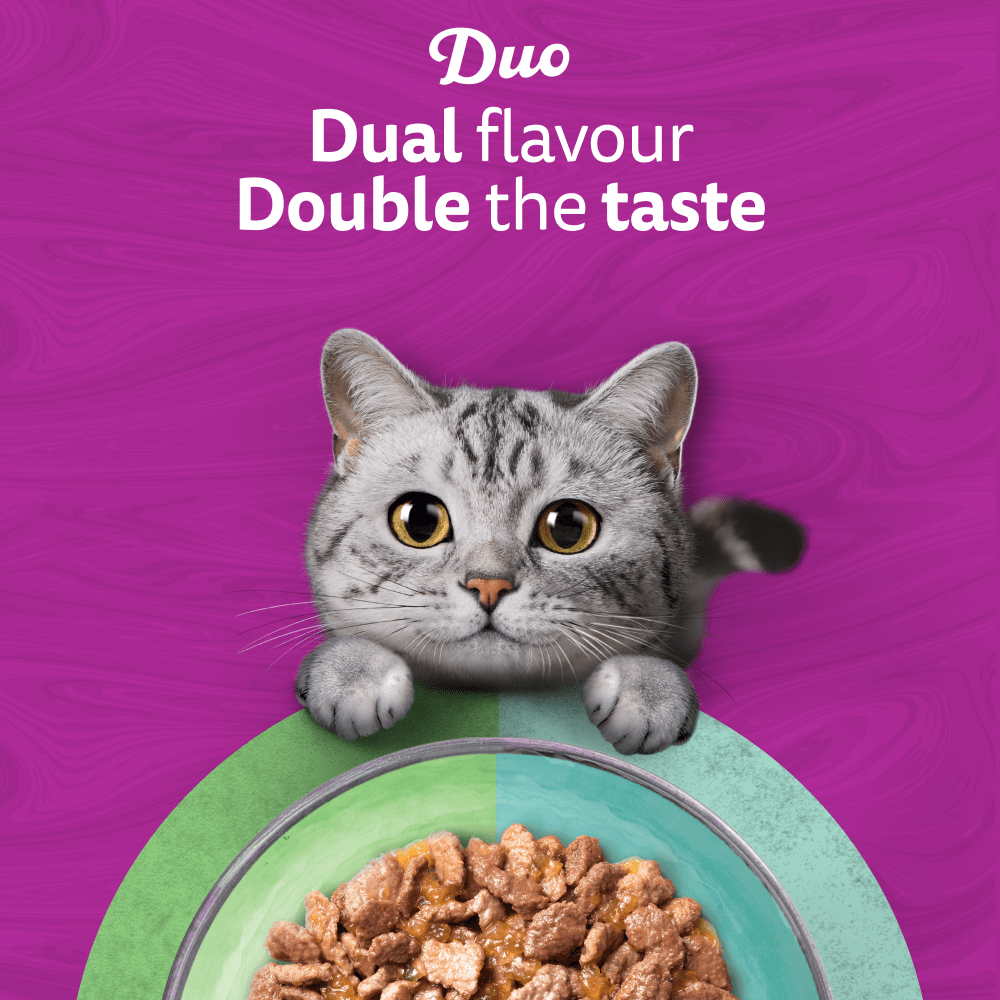WHISKAS 1+ DUO MIXED Medley Wet Cat Food Pouches in Jelly 12 x 85g - 2