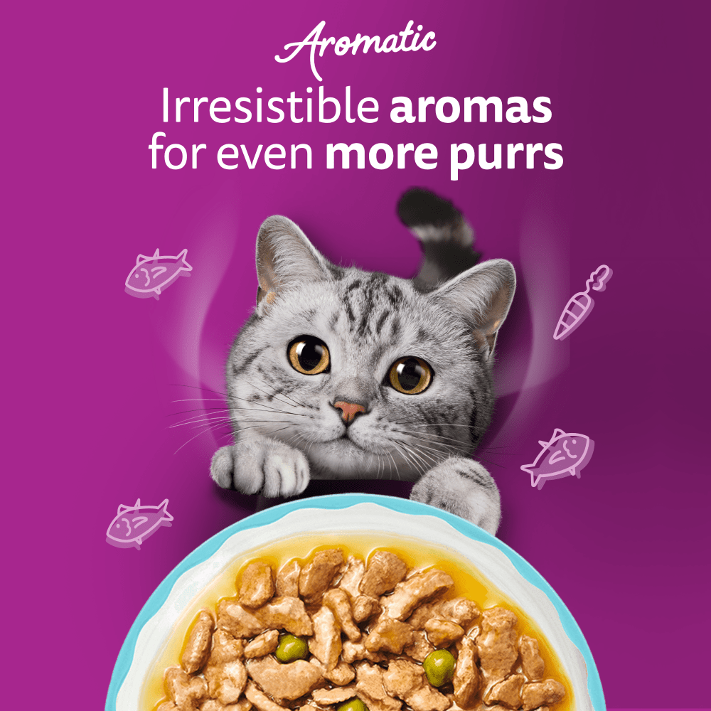 WHISKAS 1+ AROMATIC SEAFOOD Delight Wet Cat Food Pouches in Gravy 12 x 85g - 2