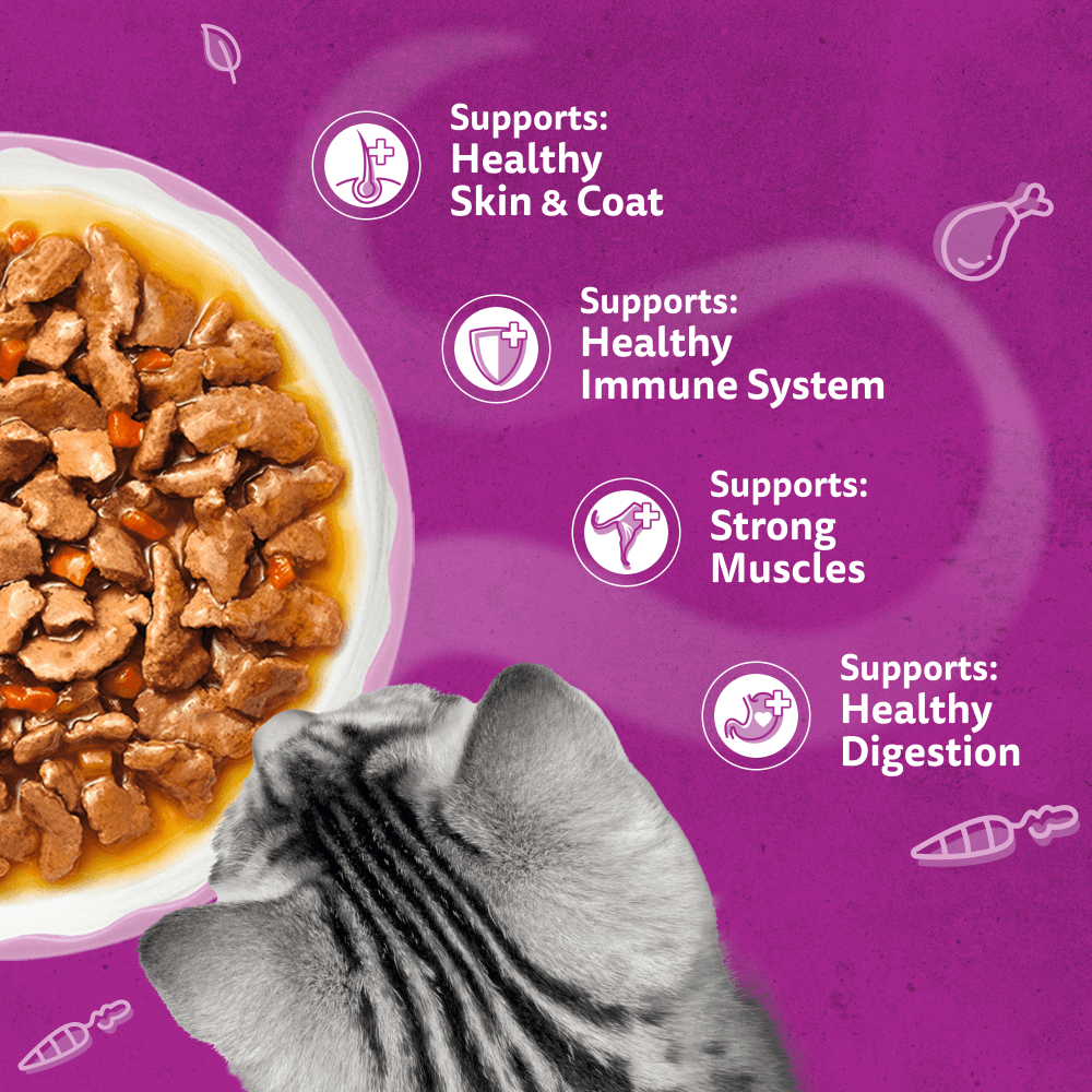 WHISKAS 1+ Aromatic Fragrant Fusions Selection Wet Cat Food Pouches 40x85g, 12x85g - 4