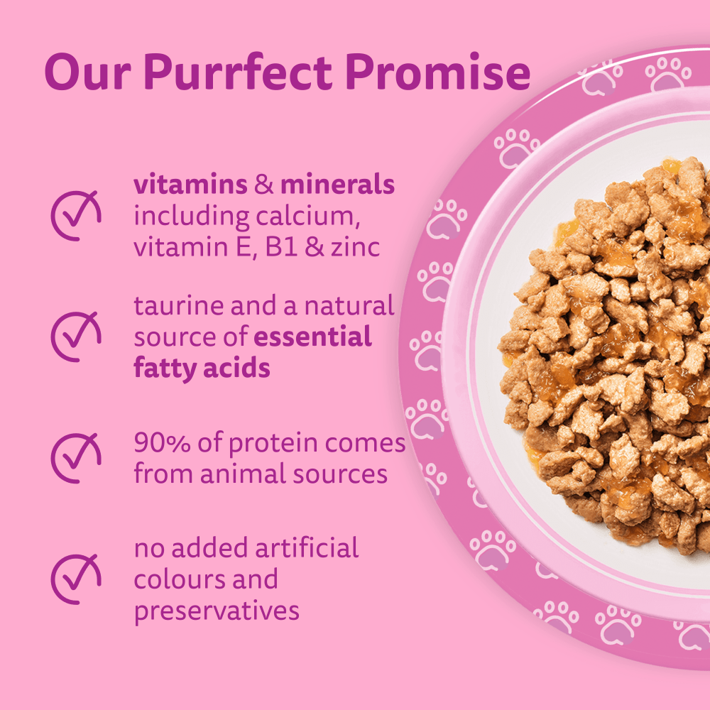 WHISKAS Kitten 2-12 mnths MIXED Menu Wet Cat Food Pouches in Jelly 12 x 85g - 3