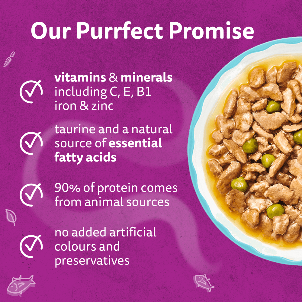 WHISKAS 1+ AROMATIC SEAFOOD Delight Wet Cat Food Pouches in Gravy 12 x 85g - 3